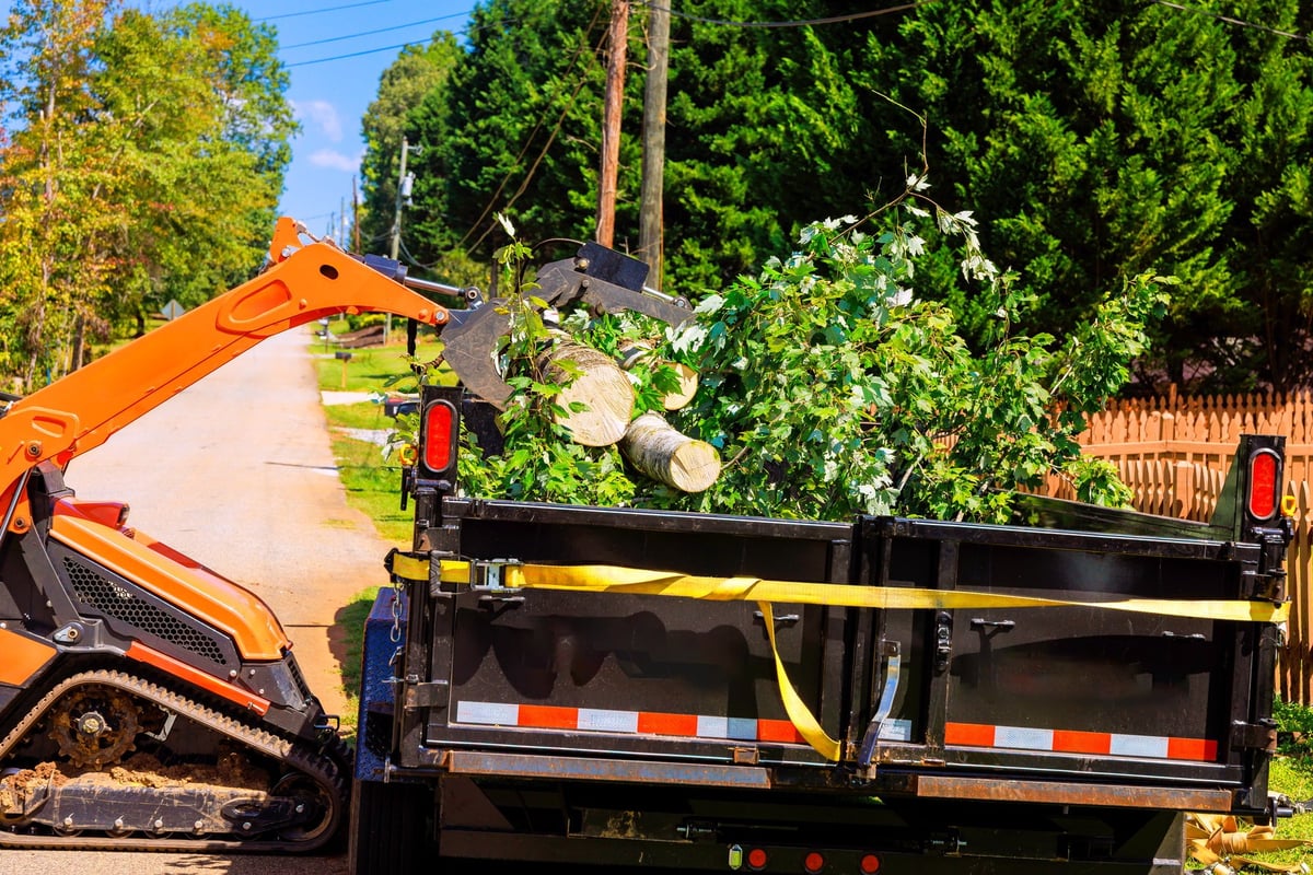 Equipment clearing branches and debris from a residential property