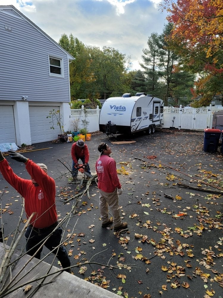 Lorenzo's family crew in red shirts working a Connecticut property — leaves, a trailer, and a real job in progress